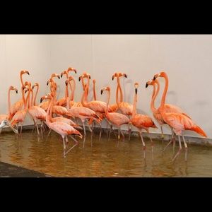 Meet your Posher, Kacie